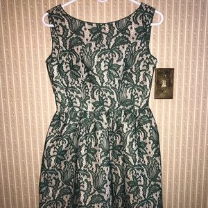 Zara Green Nude Lace Tulip Skater Dress/Small